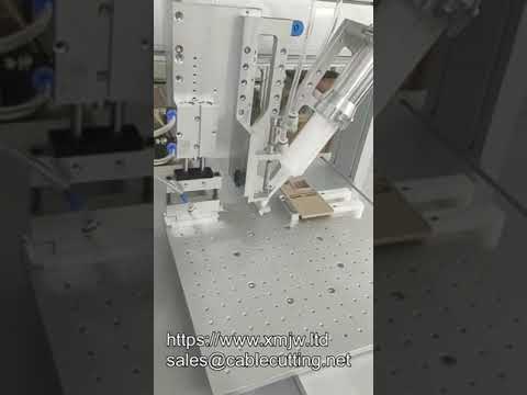 Oem 50ml Ab 11 21 Epoxy Resin Two Parts Glue Dispensing Robot Automatic Glue Dispenser With Suction