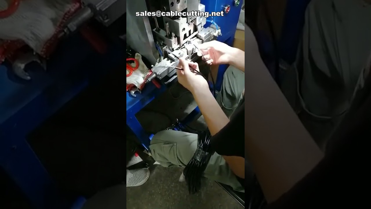 Mesin Crimping & Pemasangan Plug Otomatis untuk Plug Prancis dan Timur Tengah – Presisi Tinggi