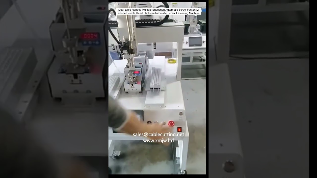 Dual table Robotic Multiple Shenzhen Automatic Screw Fasten Machine