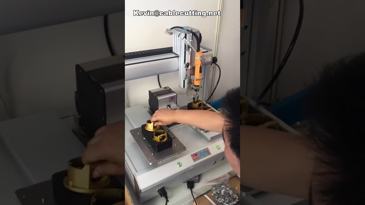 Two Platform 4 Axis Desktop Automatic Screw Fasten Drive Robot Screwdriver Machine